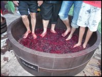 grape-stomping01.jpg