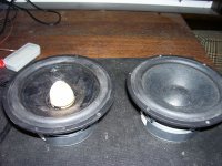 Two Silverflutes.JPG