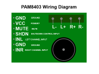 pam8403 WIRING DIAGRAM.png
