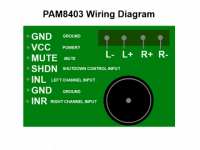 pam8403 WIRING DIAGRAM.png