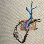 IMG_0541.jpg