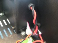 6 close up.jpg