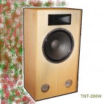 TNT-200W.JPG