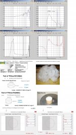 Pillowfill(Specimen-minus-Emptytube)FinalPlots_Mic-at-Pos.1prim.JPG