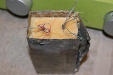 DSC05306.jpg
