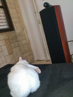 IMG_0003.jpg