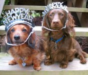 Happy New Year 2.jpeg