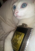 IMG_0262.jpg