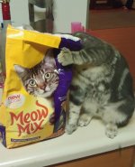 optical-illusions-28.jpg