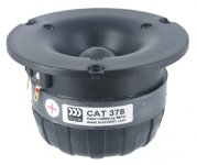 cat378.jpg