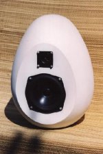 focal egg.jpg