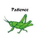 Patience Grasshopper.jpg