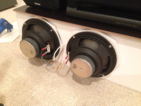 Nautaloss-Bass-Quad-Driver-PP.png