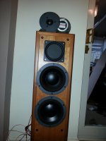 Dynaudio with BMR 068.jpg