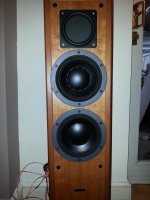 Dynaudio with BMR 060.jpg