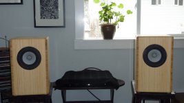 Blumenstein bamboo cabinets with Alpair 10P's 001.JPG