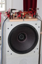 tqwt 001 (2000x3000).jpg