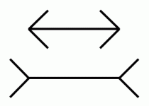 arrow-illusion.gif