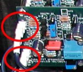 F5 preamp molex.JPG