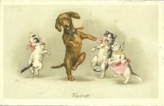 Marie Flatscher Dachshund dog & Cats dancing for Sale.jpg
