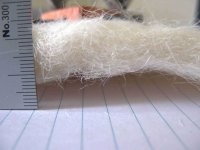 IMG_6652.jpg