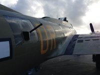 B17-4.jpg
