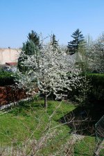 DSC_00210001_1.JPG