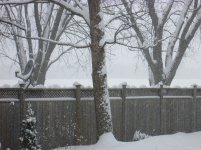 Winter in Baldwin 006.jpg