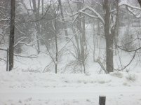 Winter in Baldwin 007.jpg