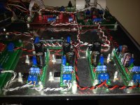 IMG_2351.jpg