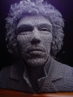 chicken-wire-portrait (4)[2].jpg