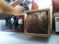 wool in.jpg