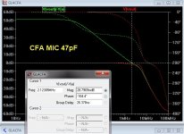 CFA MIC.jpg