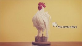 chicken.jpg