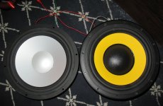 IMG_0001.JPG