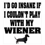 Dachshund - I would go insane.jpg