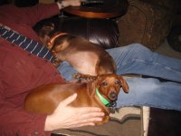 IMG_0655.JPG