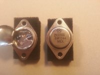 3055orgsmall.jpg