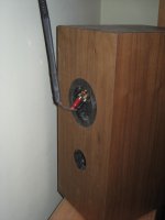 IMG_0905.jpg