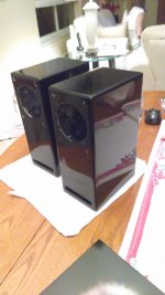Finished cabinet 1 .jpg