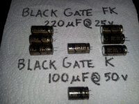 BlackGate FK-K.jpg