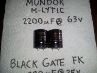 Mundorf M-Lytic.jpg