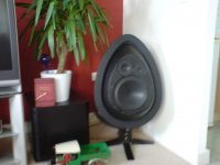 DSC00183.JPG