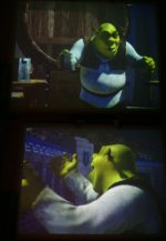 shrek6868.jpg