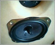 bsb-treated and phase plug.jpg