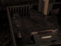 p3.jpg