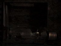 p4.jpg