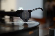 DSC_6192.JPG