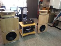 Open Baffle with Horn Front 2 PureAudioProject.jpg