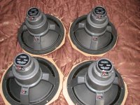 IMG_7373.jpg
